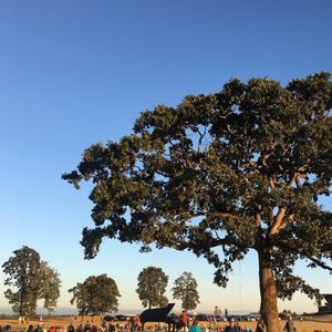 Meet your Posher, Ella